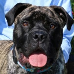 Meet your Posher, Dee